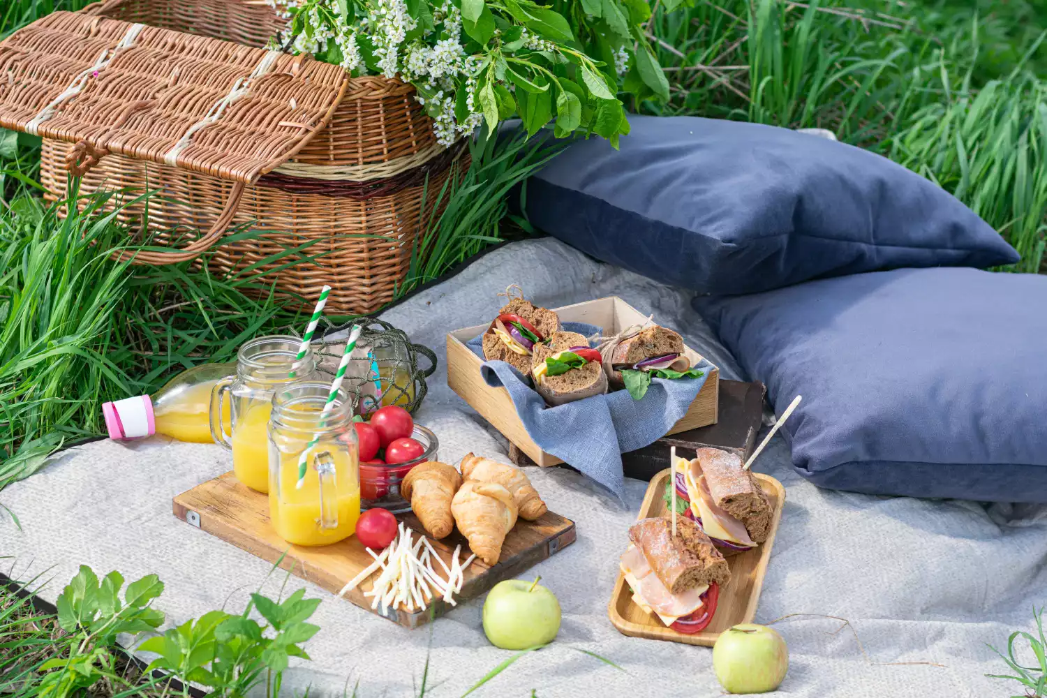 trendy picnic blankets