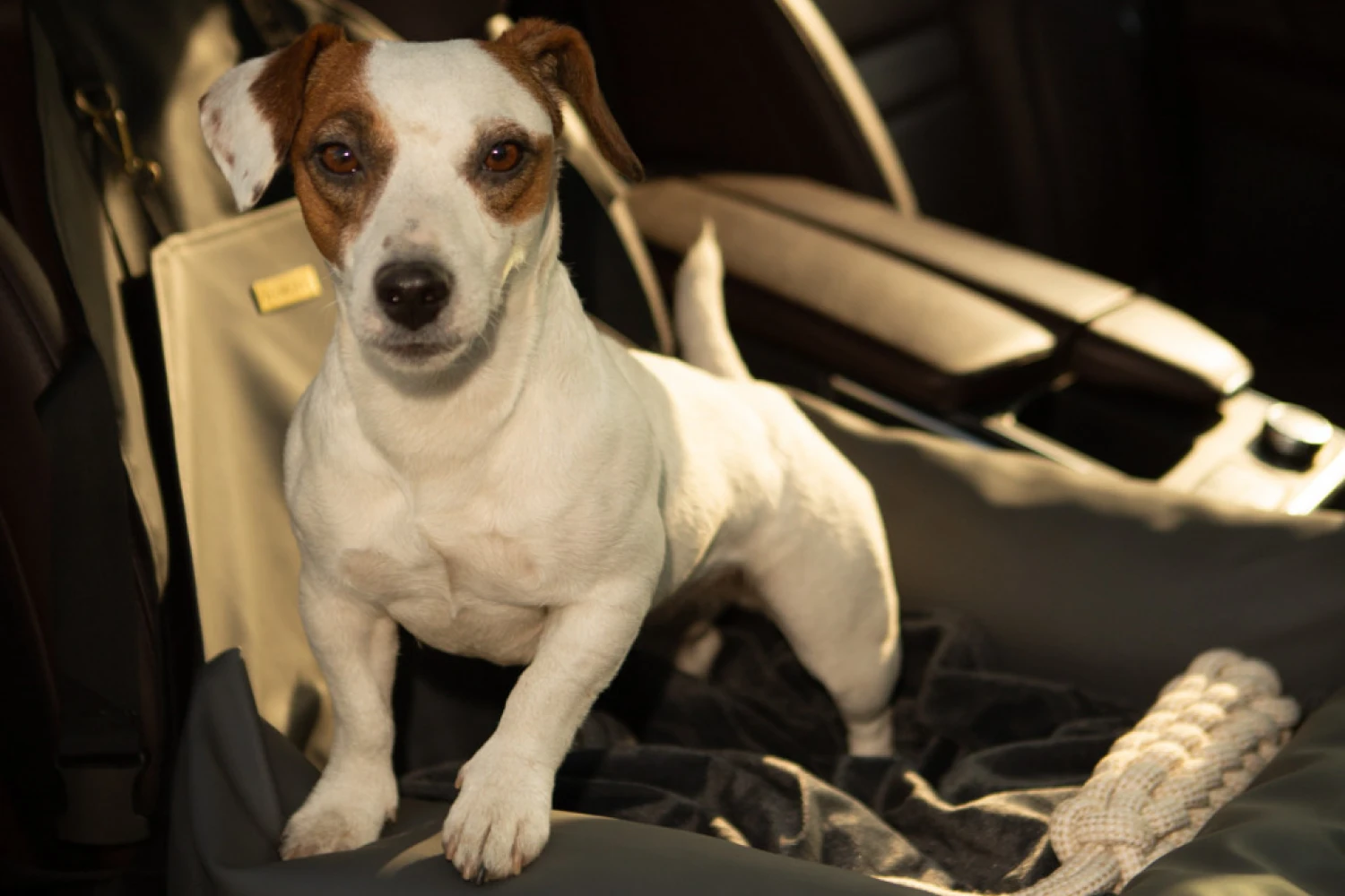 Subaru Impreza Dog Car Seat for Shar-Pei