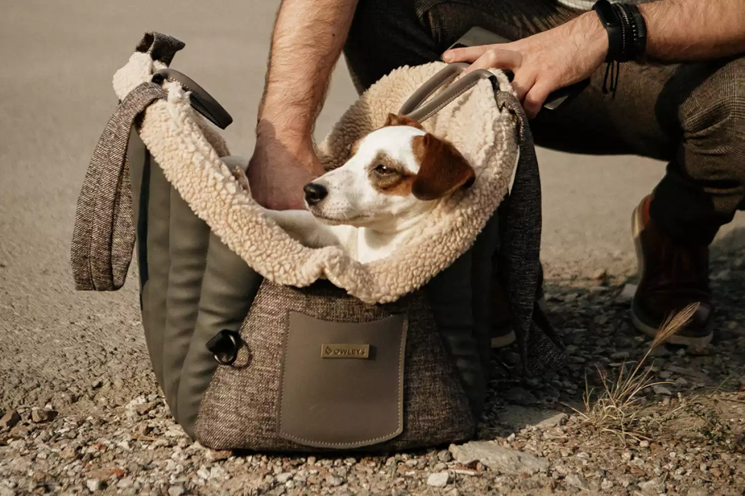 Chevrolet Malibu Dog Carrier Car Seat for Finnish Spitz