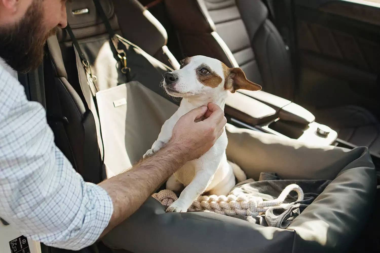 Maltese Dog Car Seat for Tesla Model Y