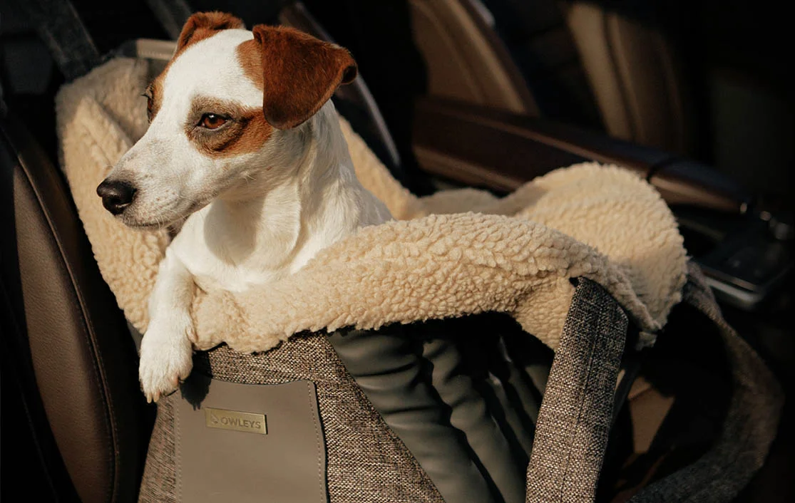 Wire Fox Terrier Dog Carrier Car Seat for Acura RDX