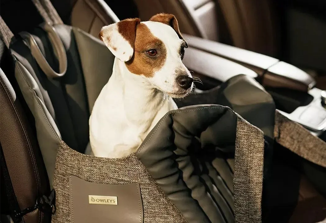 Honda Accord Dog Carrier Car Seat for Norfolk Lurcher